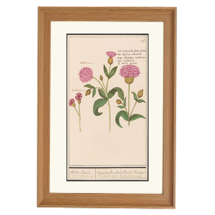 Wild Basil in Double Bloom Art Print