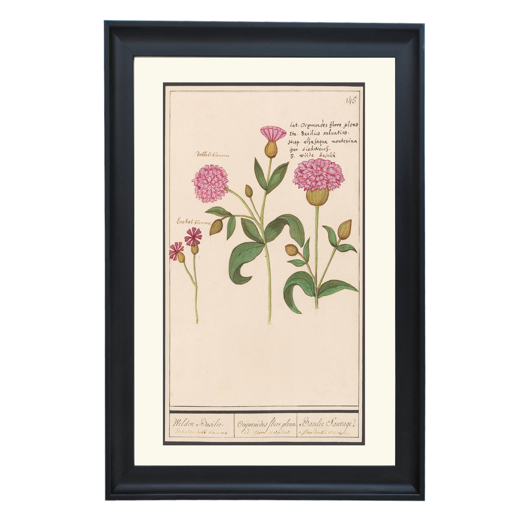 Wild Basil in Double Bloom Art Print