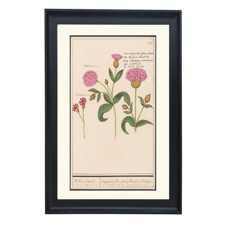 Wild Basil in Double Bloom Art Print