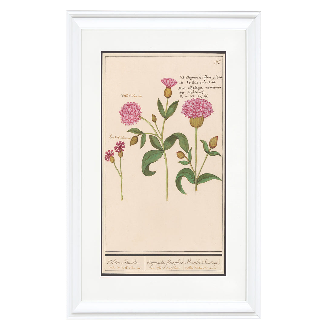 Wild Basil in Double Bloom Art Print