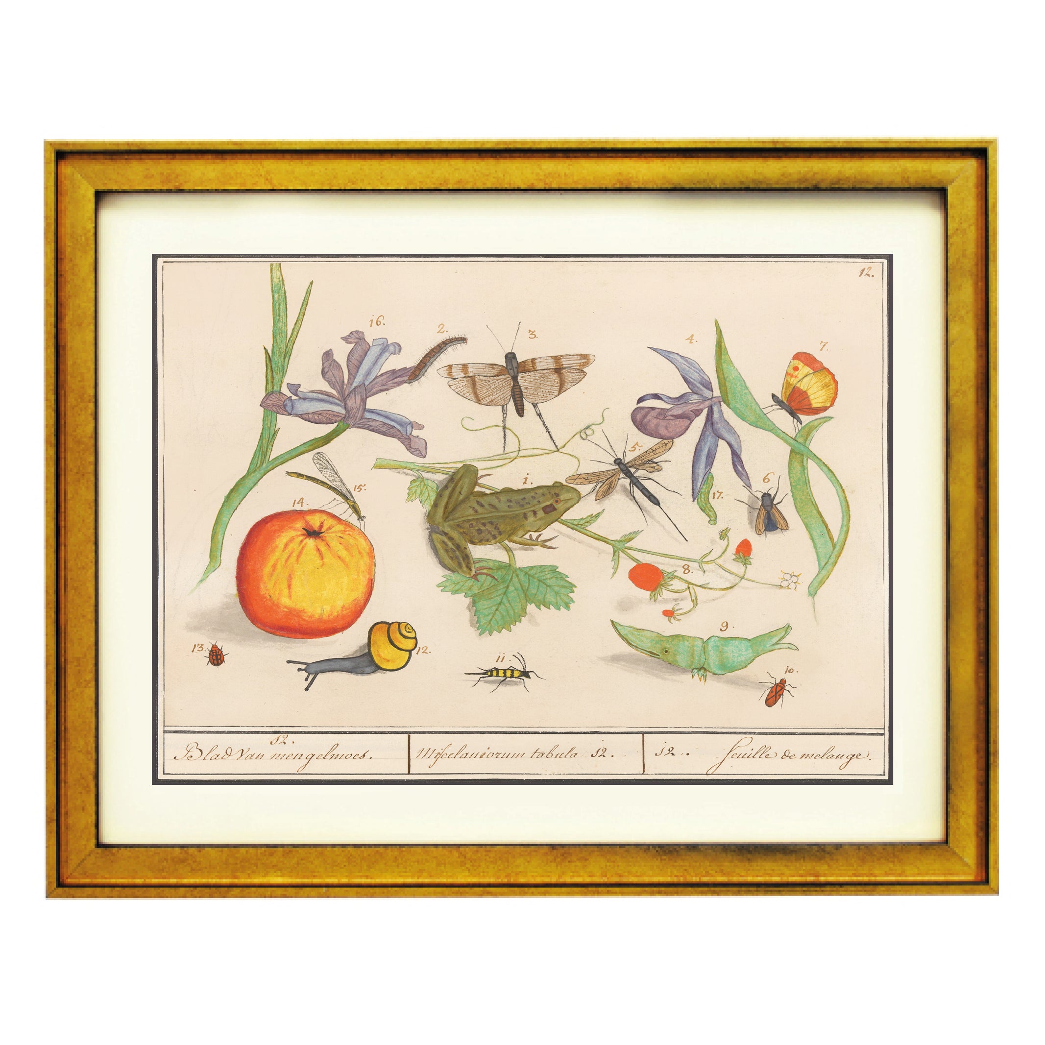 Nature’s Tableau Art Print – Ikka Dukka Studio Private Limited.