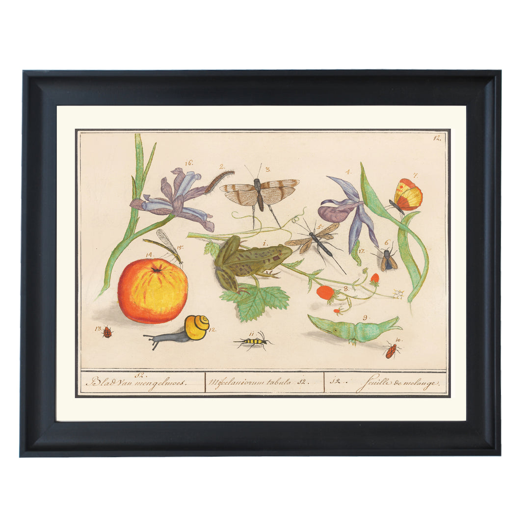 Nature’s Tableau Art Print