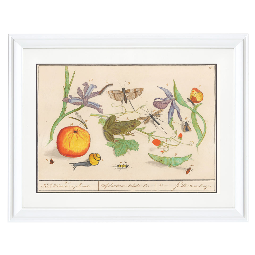 Nature’s Tableau Art Print