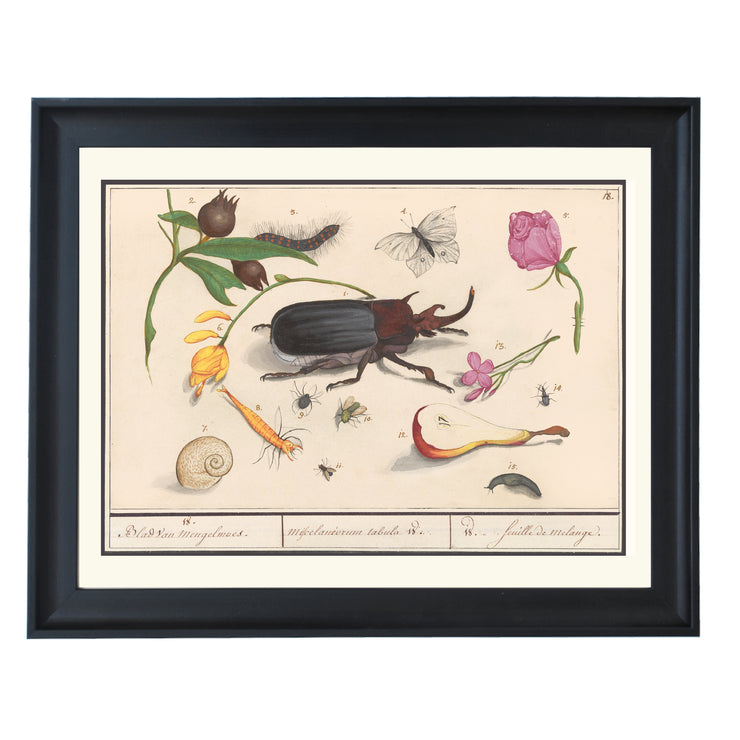 Beetles & Butterflies Art Print