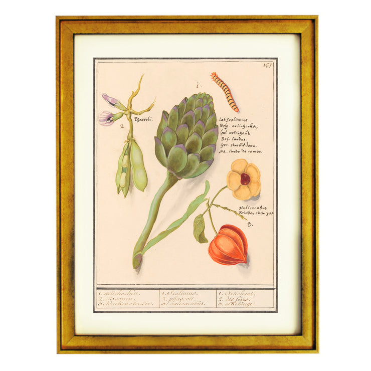 17th Century Dutch Botanical Tableau Art Print