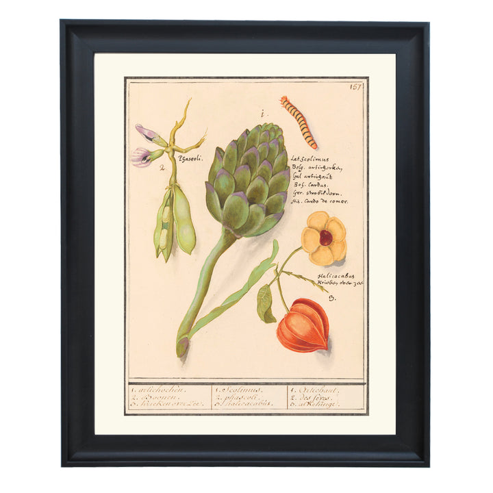 17th Century Dutch Botanical Tableau Art Print