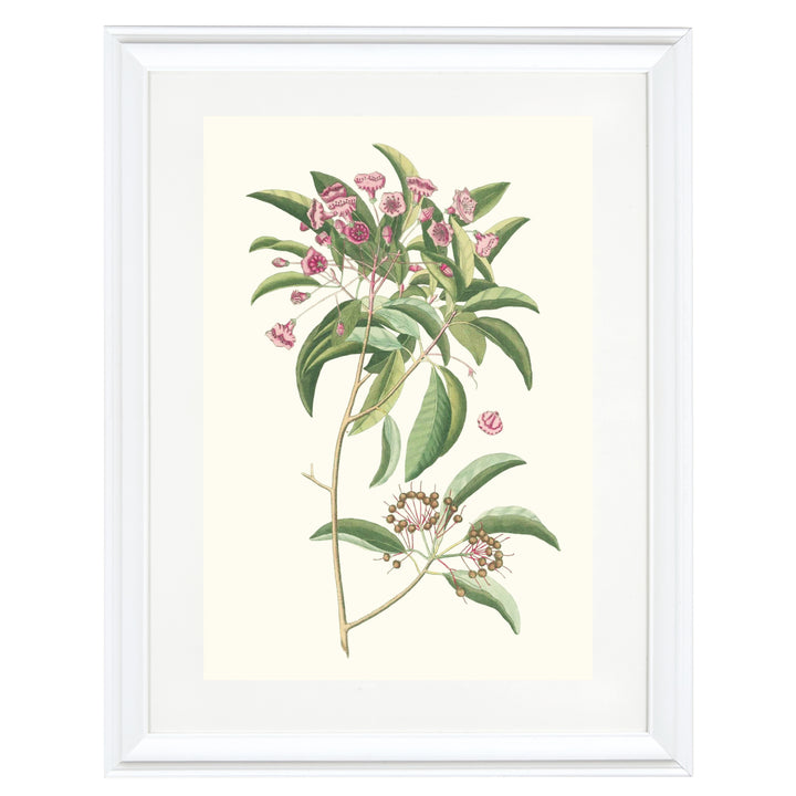 Blossoms of Serenity Art Print