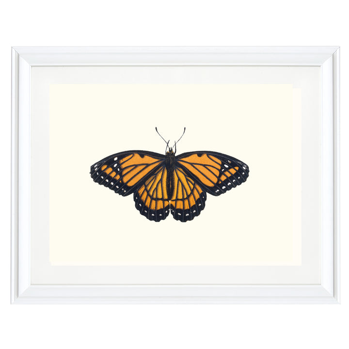 A Monarch Majesty Art Print