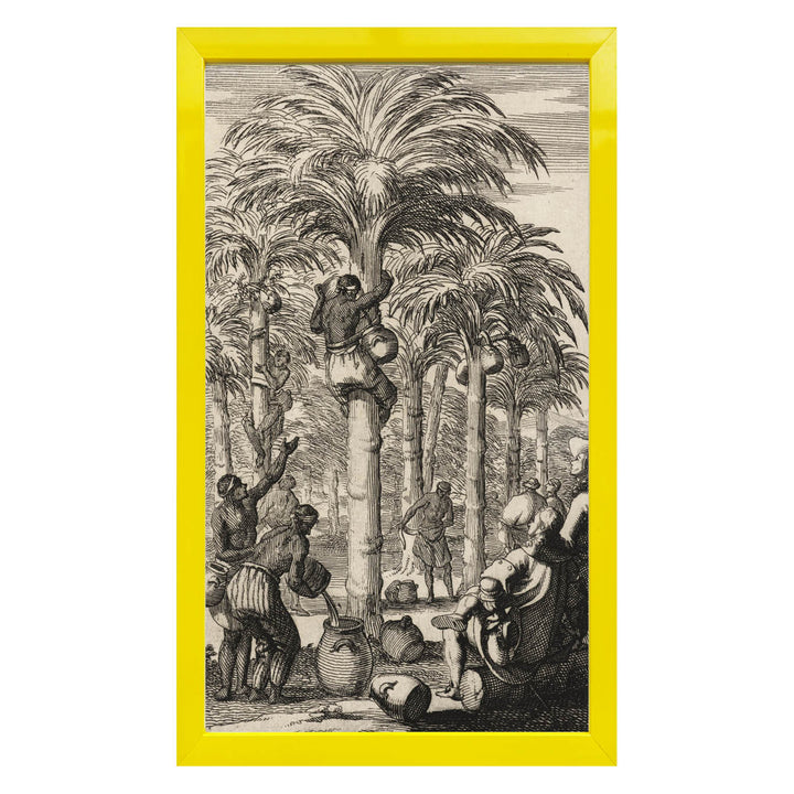 Obtaining Palm Wine in India Art Print