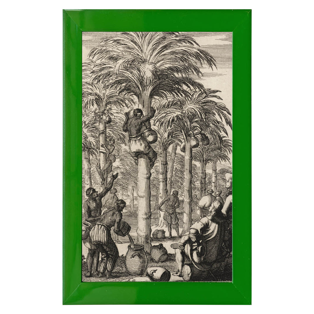 Obtaining Palm Wine in India Art Print