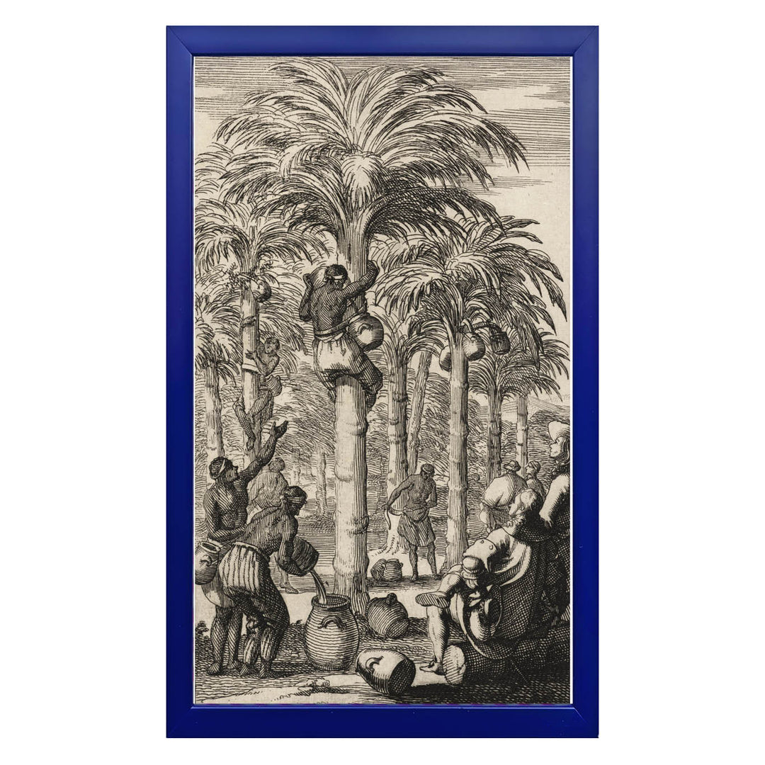 Obtaining Palm Wine in India Art Print