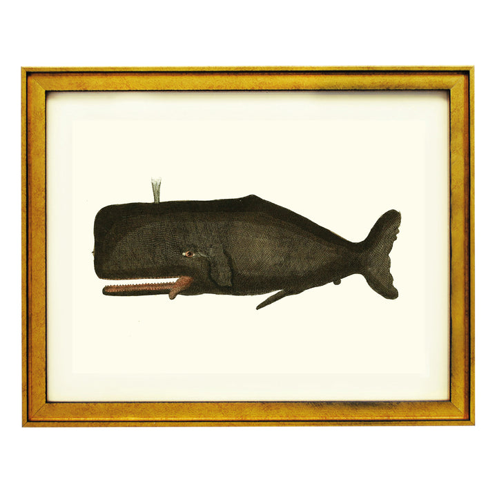 Vintage Whale Art Print