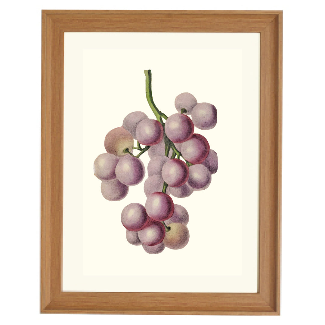 Bunch Of Red Grapes Art Print