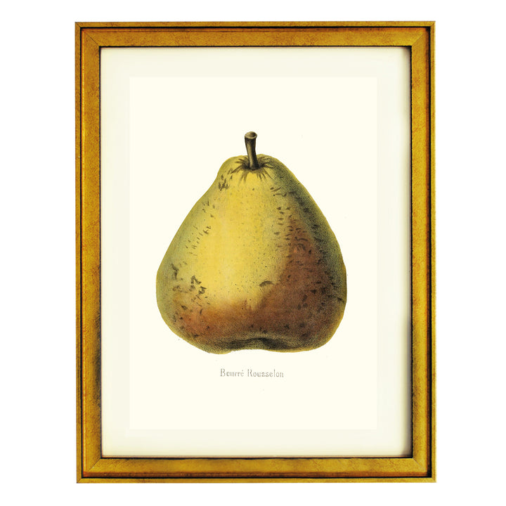 Beurre Rousselon Pear Art Print