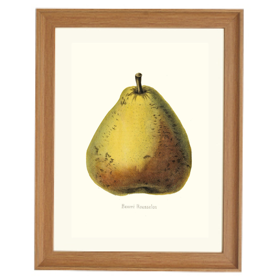 Beurre Rousselon Pear Art Print