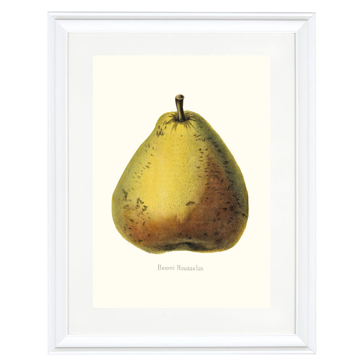 Beurre Rousselon Pear Art Print