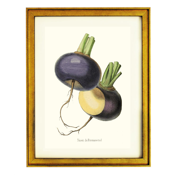 Petrosowood Turnip Art Print