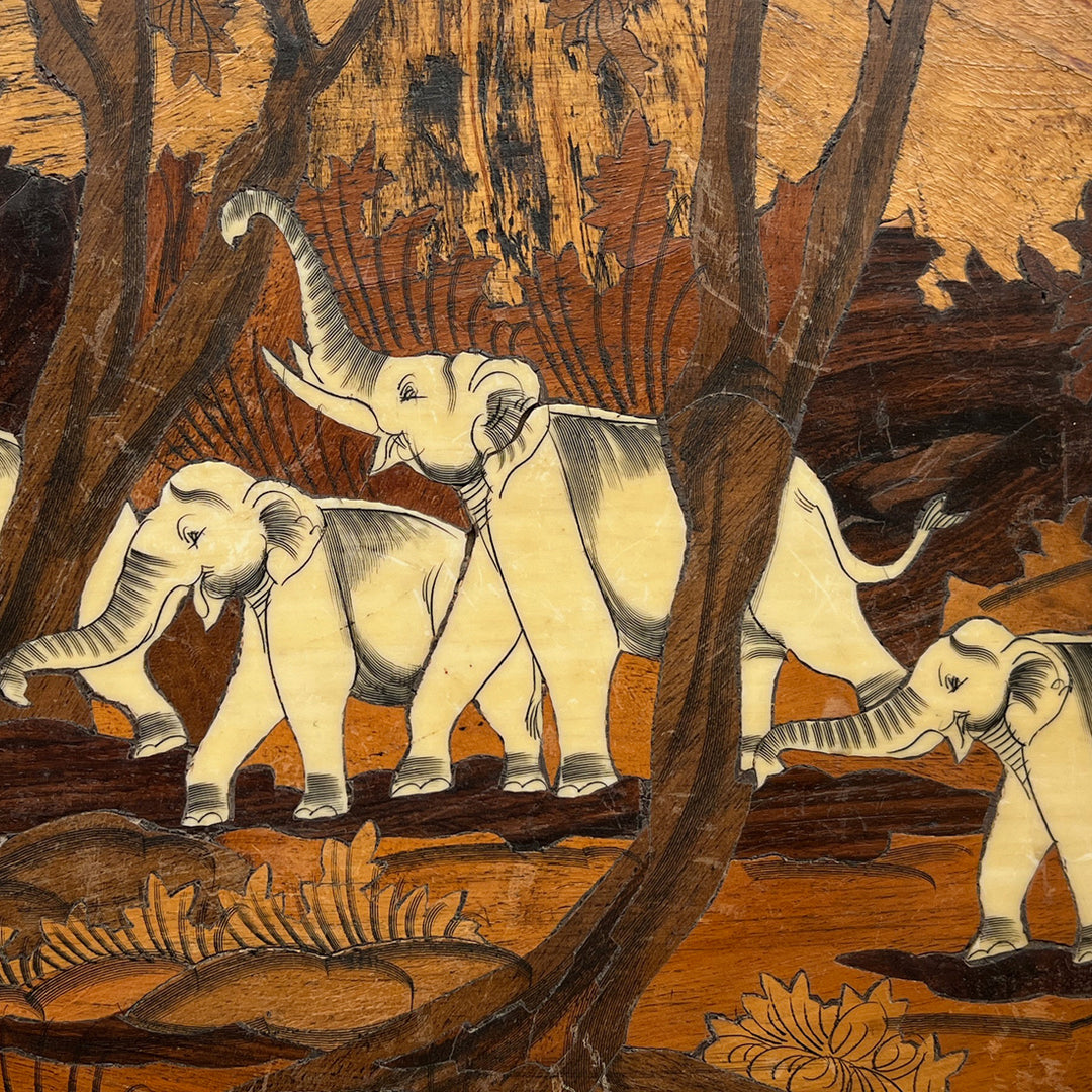 Elephant Herd in a Forest