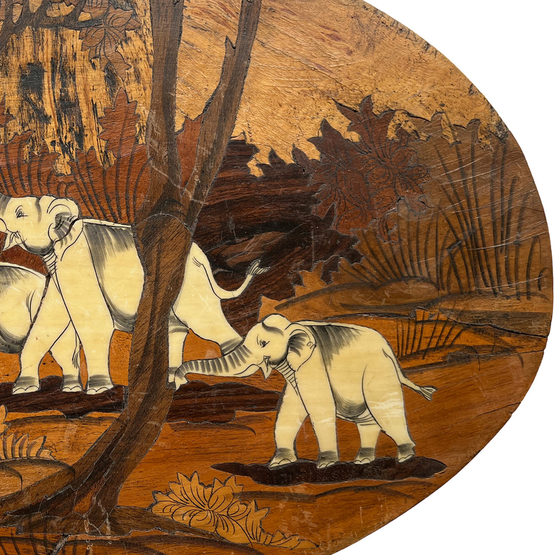 Elephant Herd in a Forest