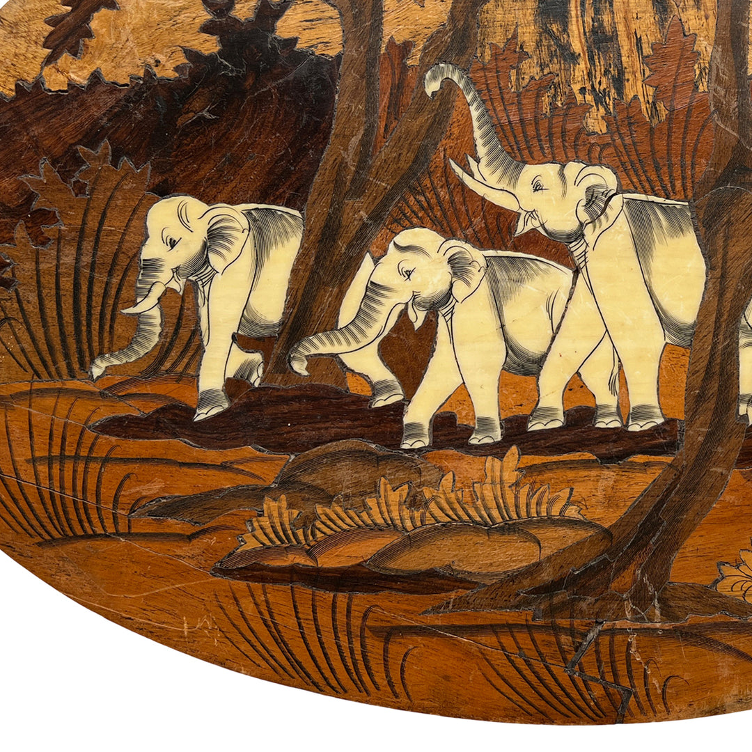 Elephant Herd in a Forest