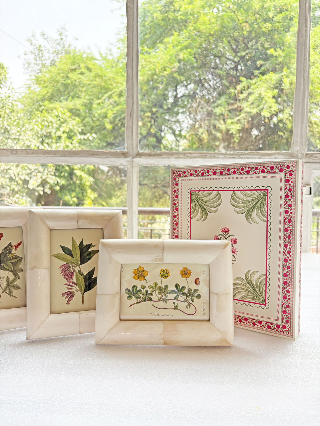 The Cream Collector’s Frame