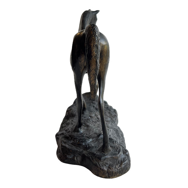The Trotter