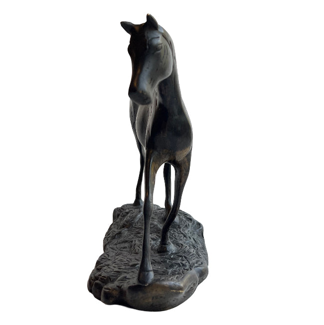 The Trotter