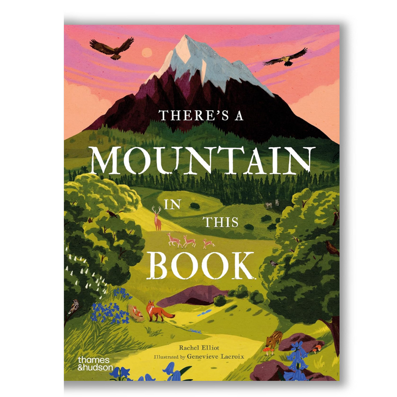 There's a Mountain in This Book