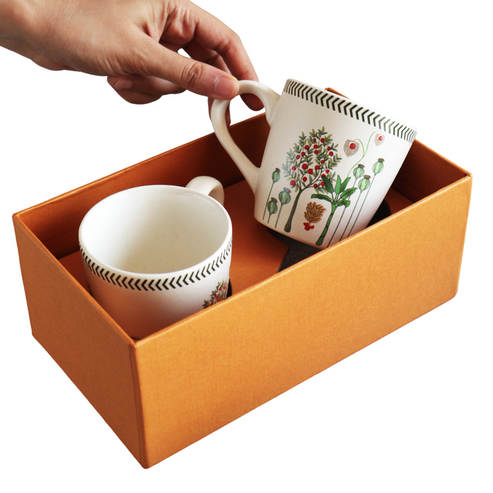 BAGH MUGS Box