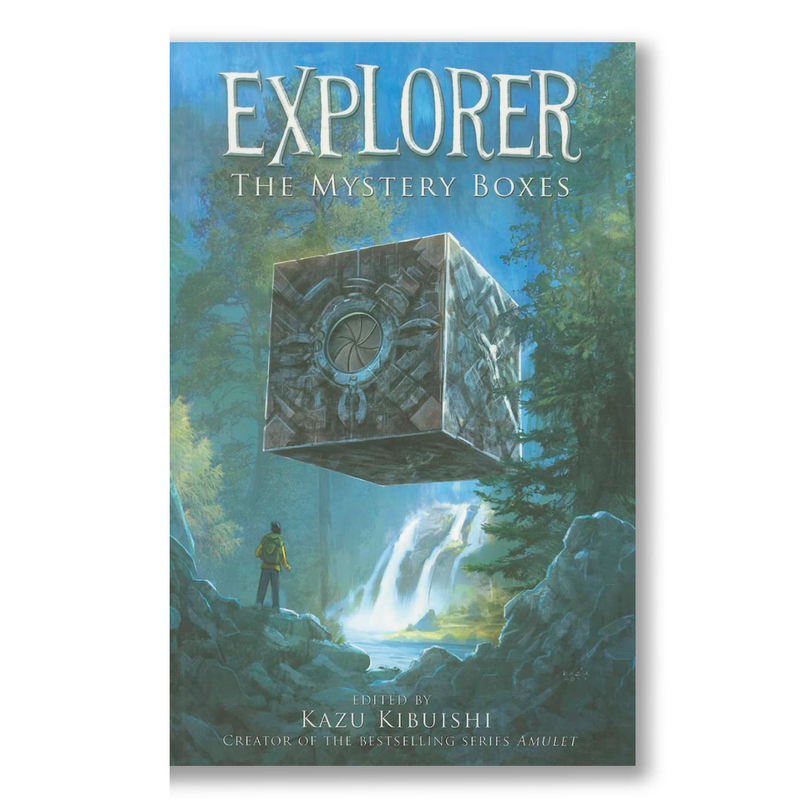 Explorer: the Mystery Boxes: Implications for Nursing Research, Theory, and Practice Book
