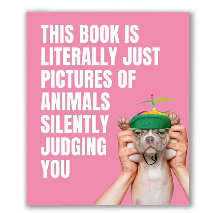 This Book is Literally Just Pictures of Animals Silently Judging You Book