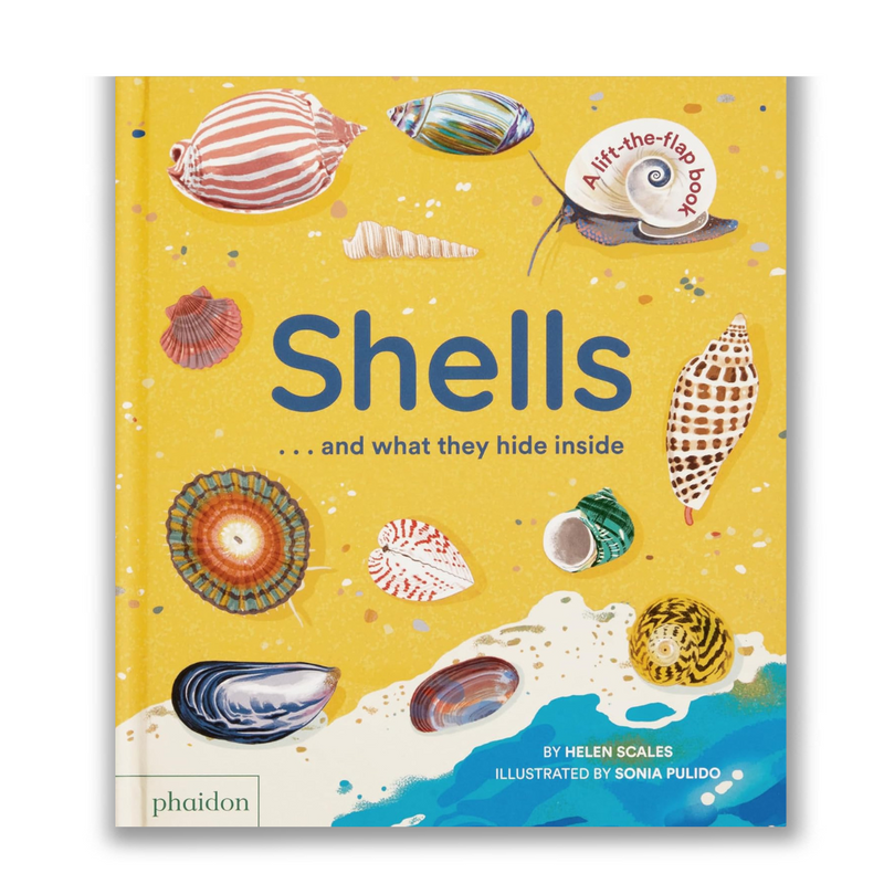 Shells... and what they hide inside: A Lift-the-Flap Adventure Book