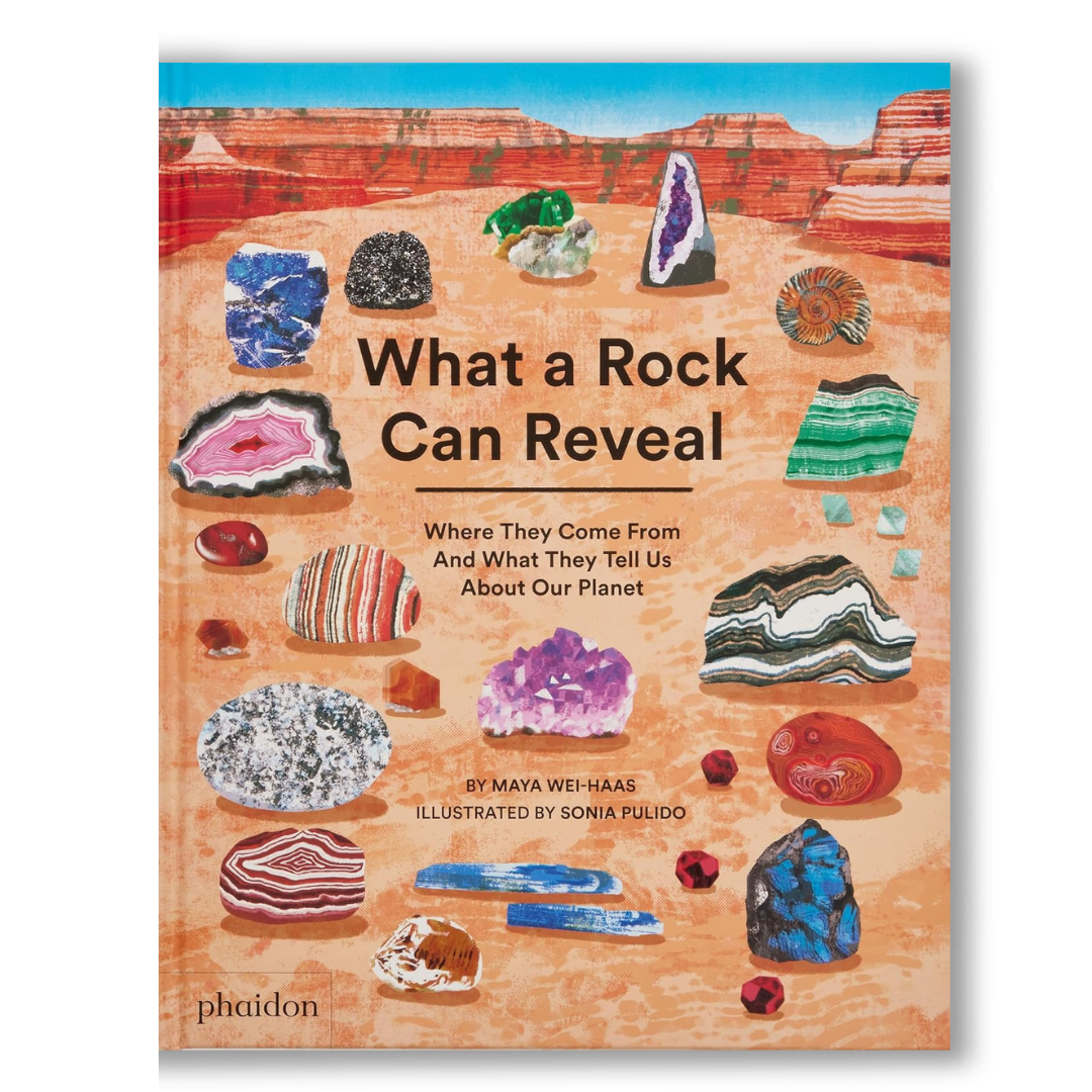 What a Rock Can Reveal Book