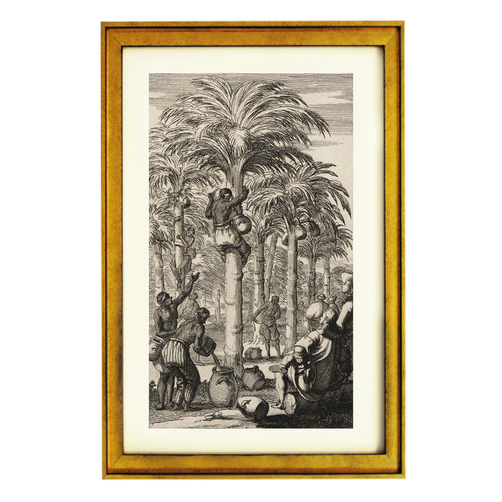 Obtaining Palm Wine in India Art Print