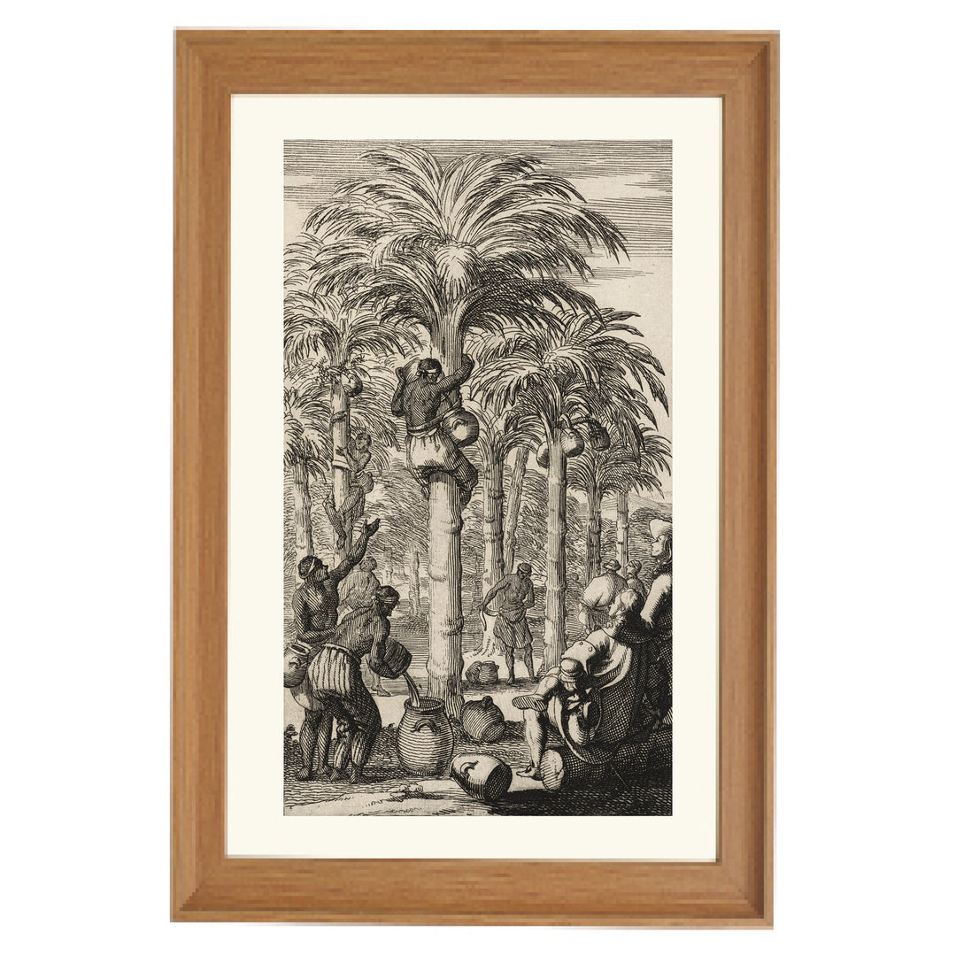 Obtaining Palm Wine in India Art Print