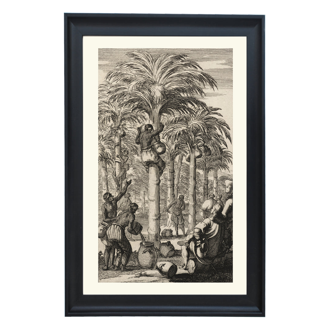 Obtaining Palm Wine in India Art Print