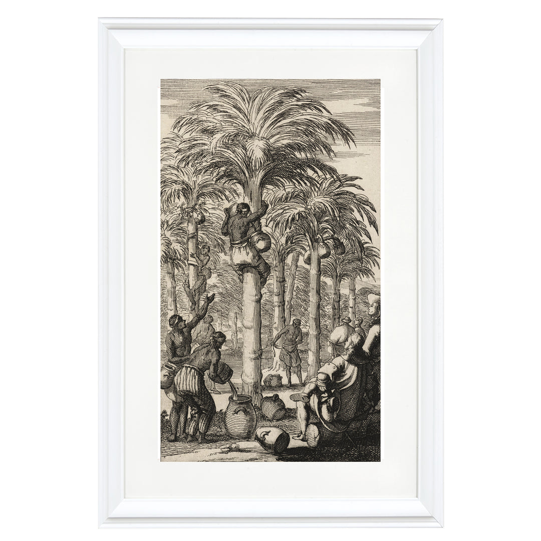 Obtaining Palm Wine in India Art Print