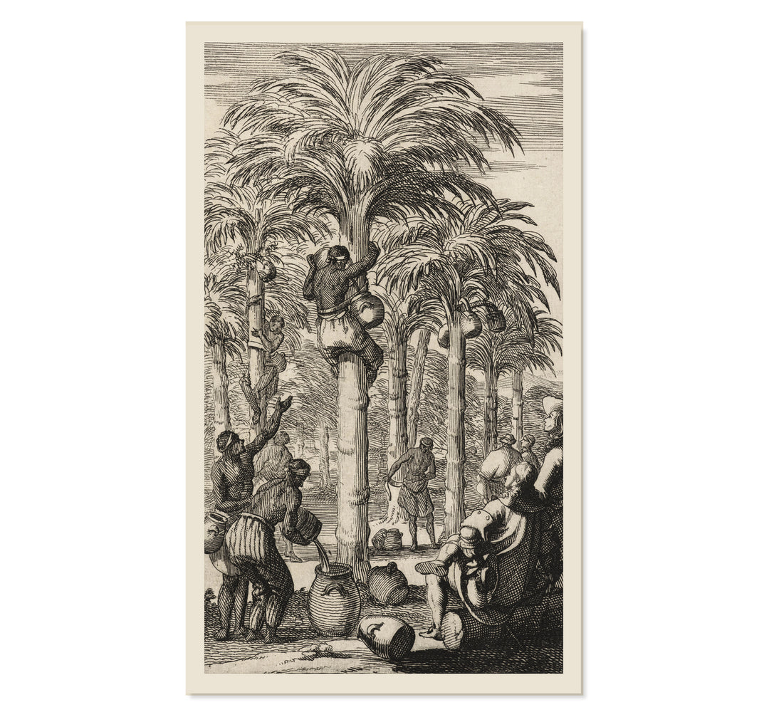 Obtaining Palm Wine in India Art Print