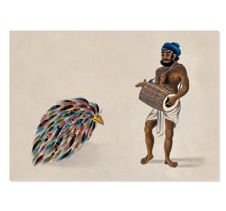 India- a drummer with an exotic bird Art Print