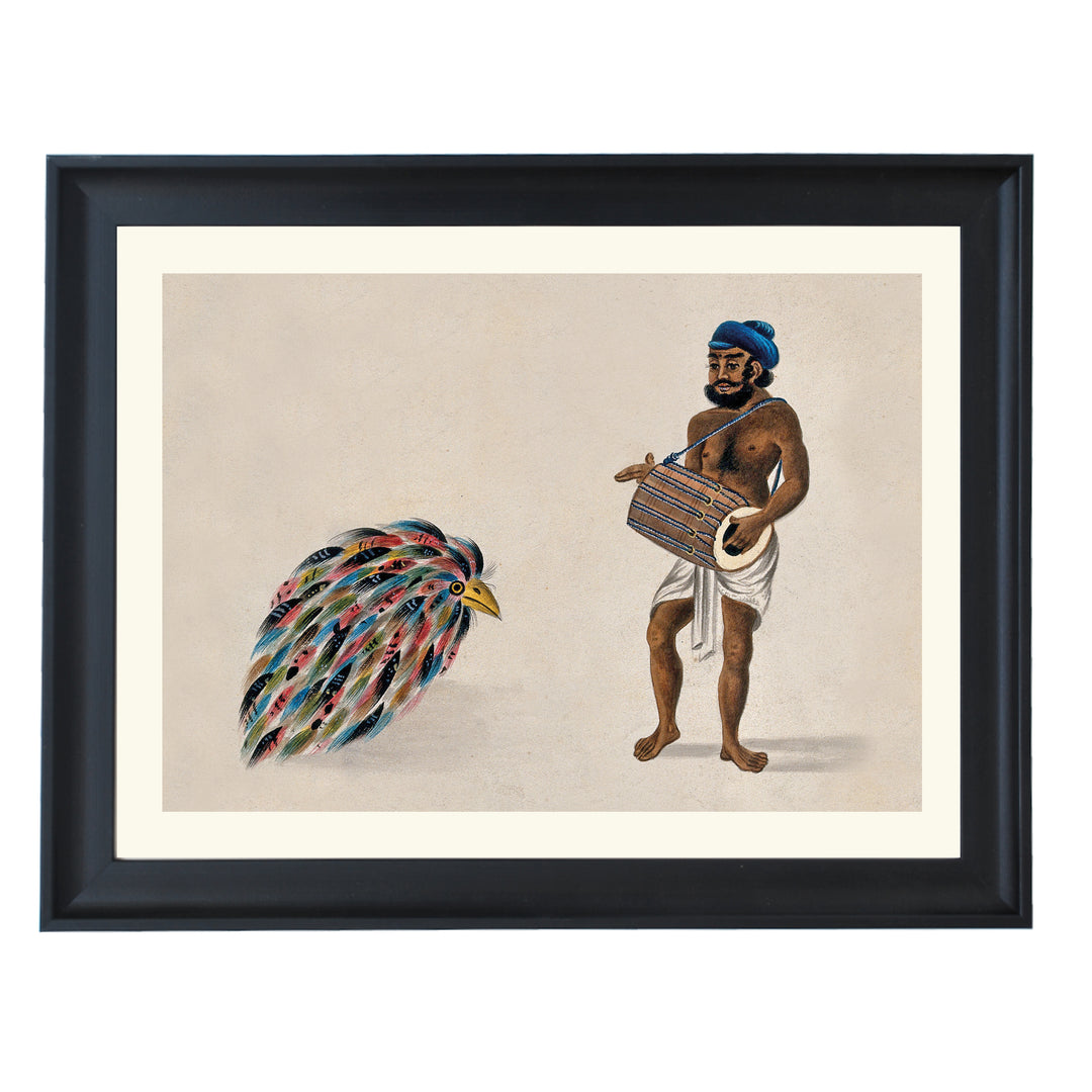 India- a drummer with an exotic bird Art Print