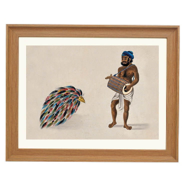 India- a drummer with an exotic bird Art Print