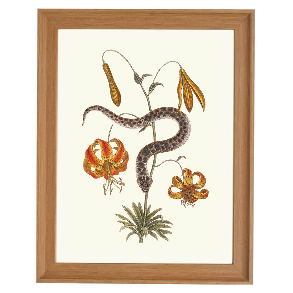 Serpent Among Lilies Art Print