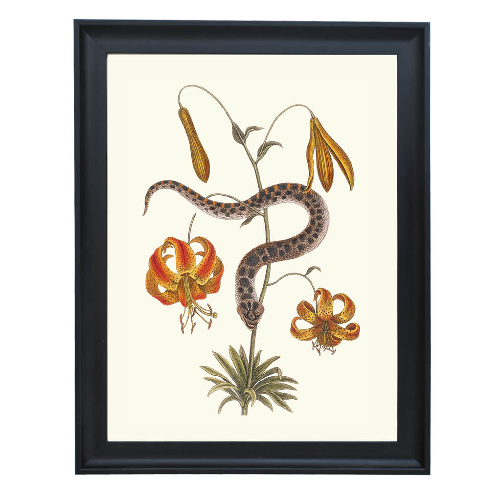 Serpent Among Lilies Art Print