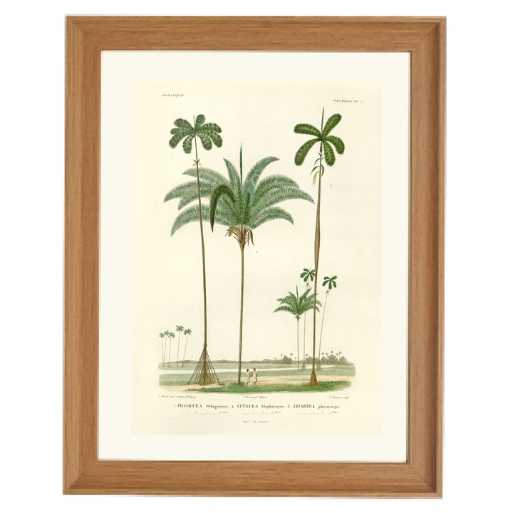 Twin Palms Art Print