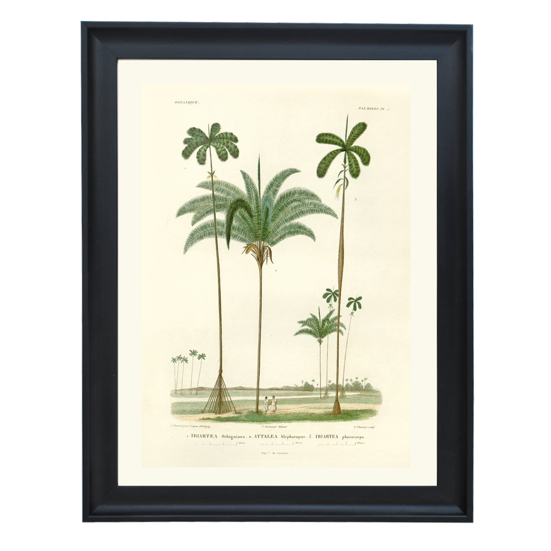 Twin Palms Art Print