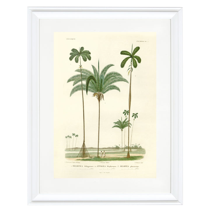 Twin Palms Art Print