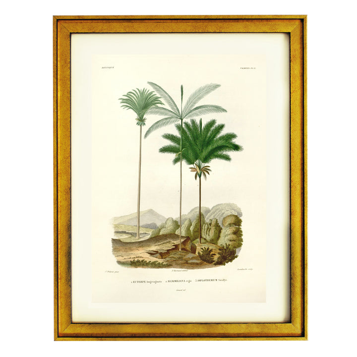 Palm trees in a desert Art Print