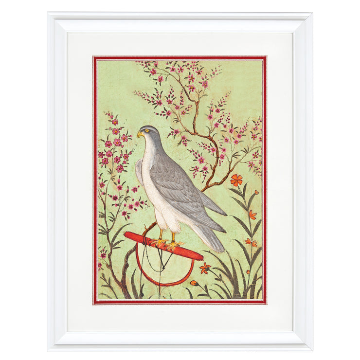 Falcon on a Perch Art Print