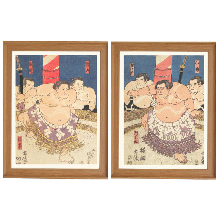 The Sumo Showdown Collection