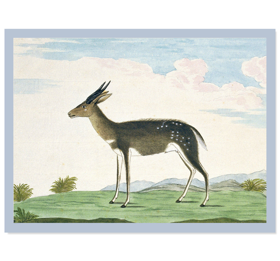 The Bushbuck Art Print